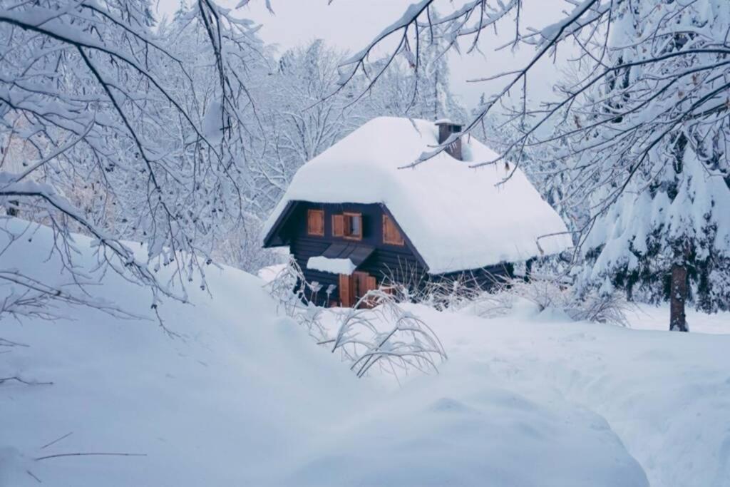 Cottage In The Woods - Lake Bohinj Exterior foto